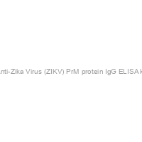 Recombivirus? Mouse Anti-Zika Virus (ZIKV) PrM protein IgG ELISA kit, 96 tests, Quantitative